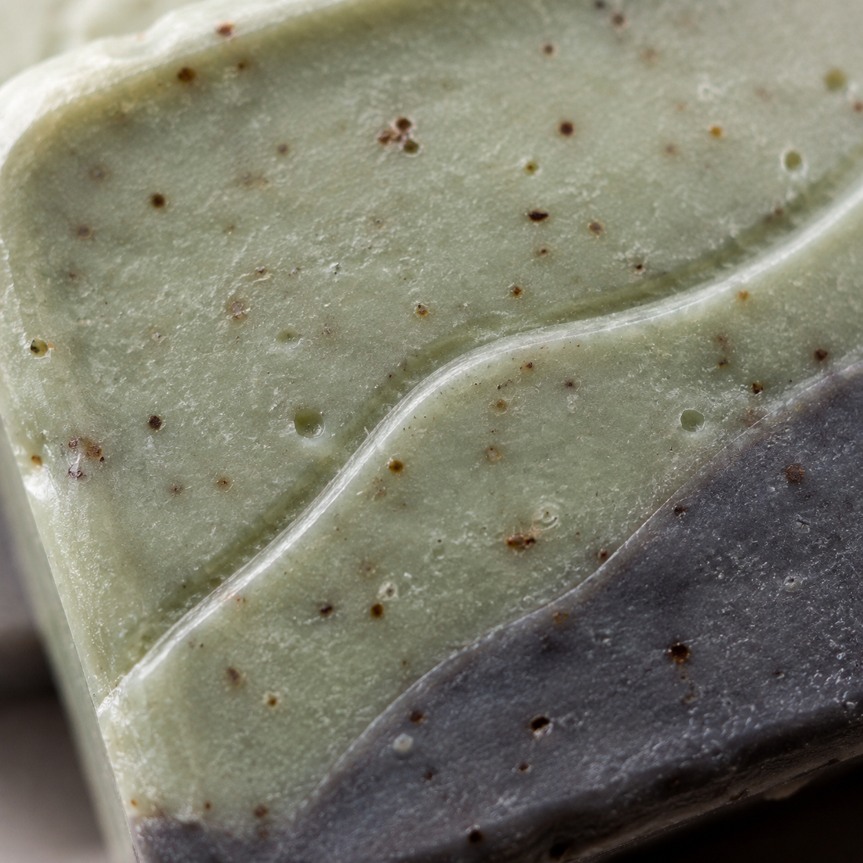 Forest Trace Rosemary Exfoliating Soap